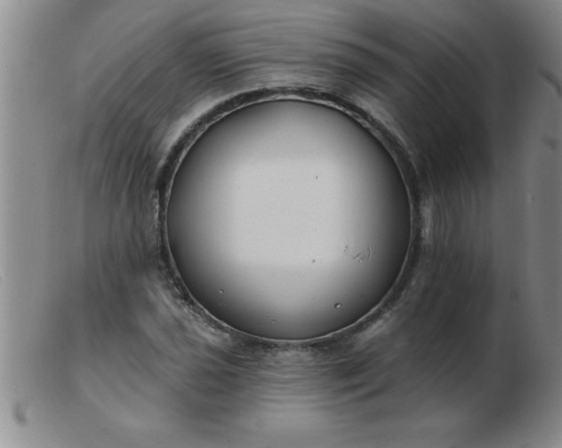 X0000103491021200809191917