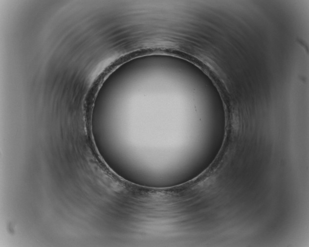 X0000103491022200809191917