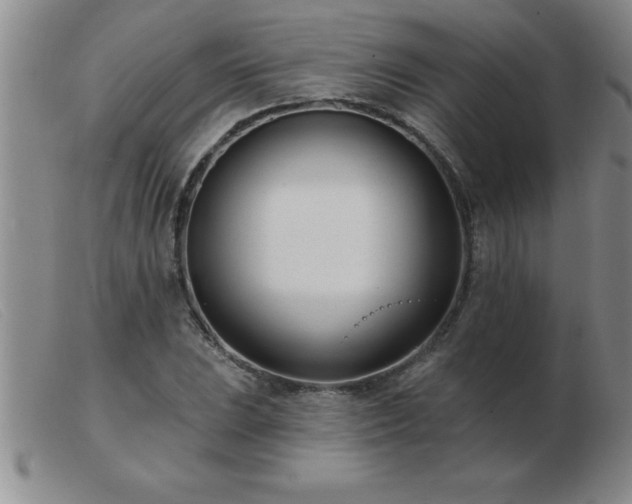 X0000103491023200809191917