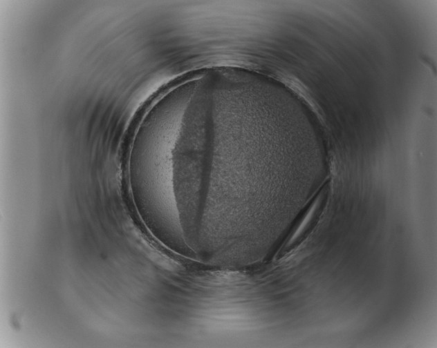 X0000103491024200809191917