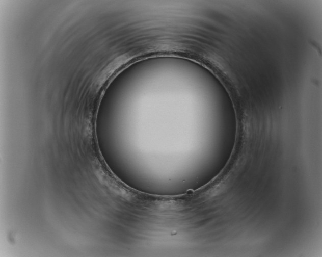 X0000103491025200809191917