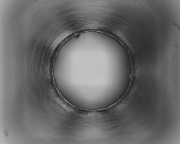 X0000103491026200809191917