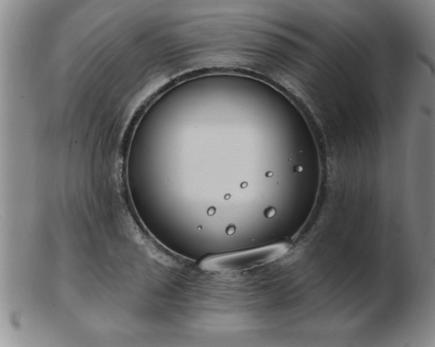 X0000103491029200809191917