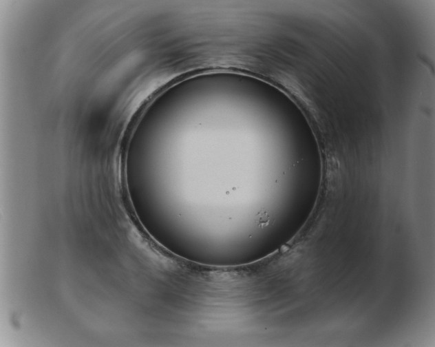 X0000103491032200809191917