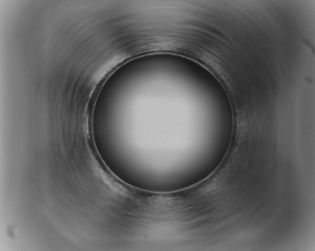 X0000103491034200809191917