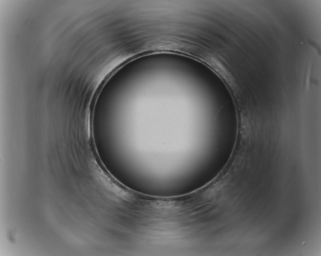 X0000103491036200809191917