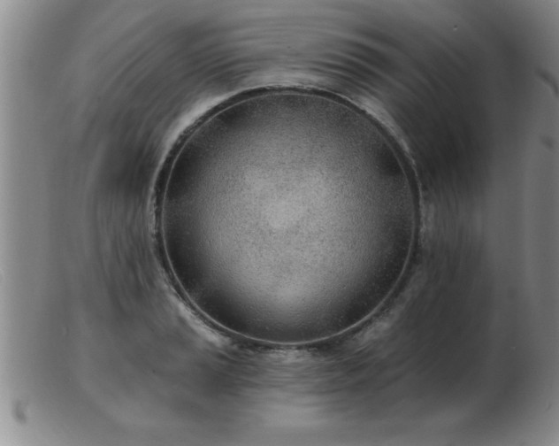 X0000103491037200809191917