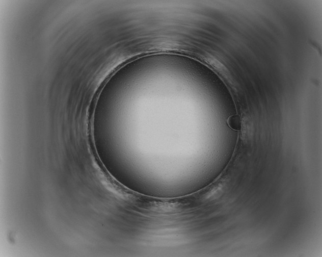 X0000103491039200809191917