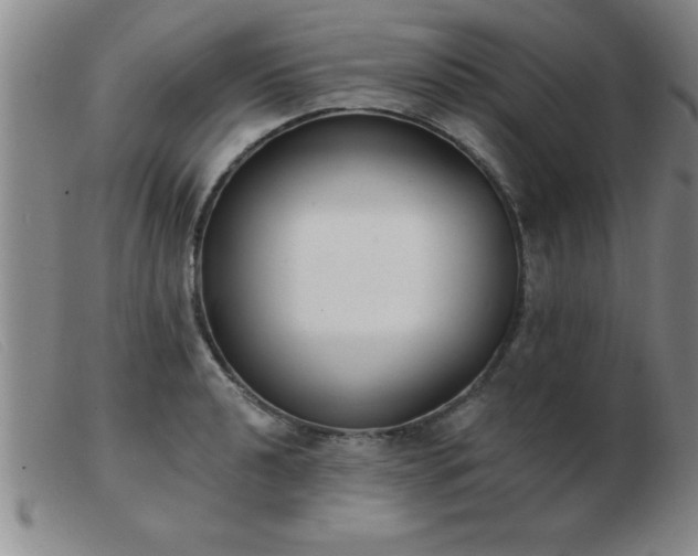 X0000103491040200809191917