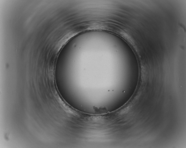 X0000103491041200809191917