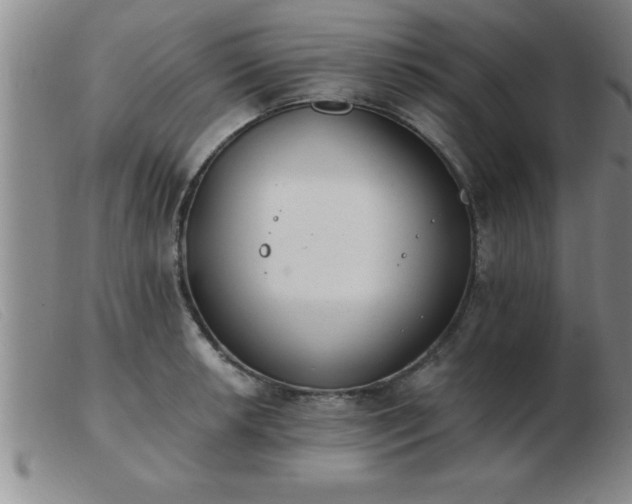 X0000103491042200809191917