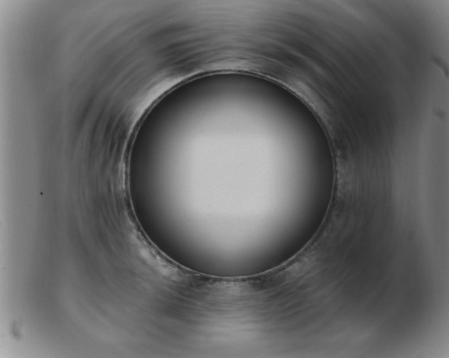 X0000103491044200809191917