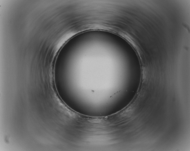 X0000103491048200809191918