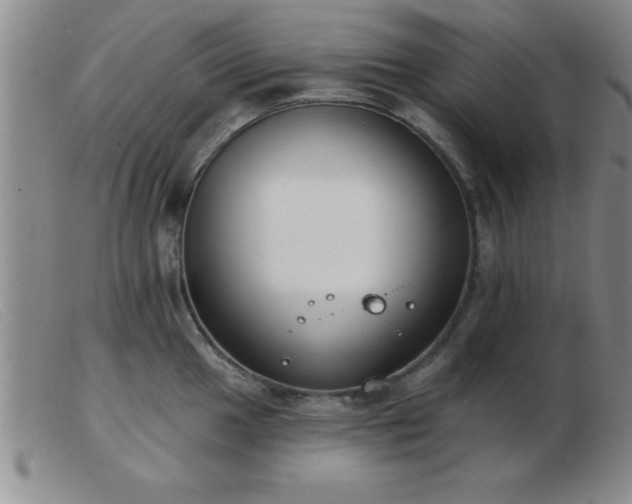 X0000103491049200809191918