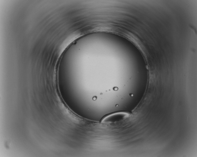 X0000103491050200809191918