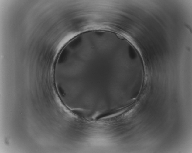 X0000103491053200809191918