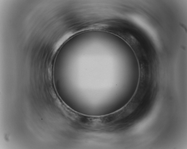 X0000103491054200809191918