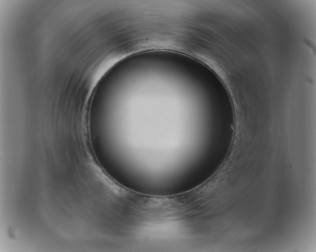 X0000103491056200809191918