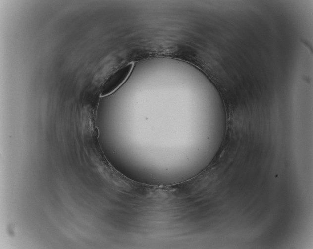 X0000103491058200809191917