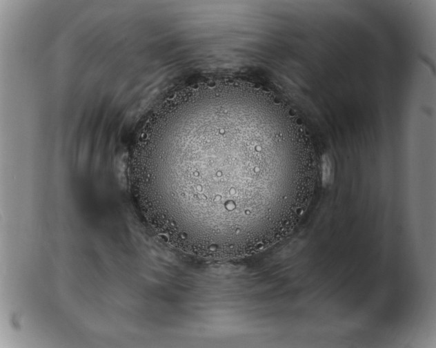 X0000103491059200809191917