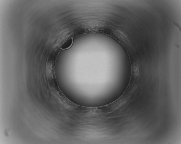 X0000103491060200809191917