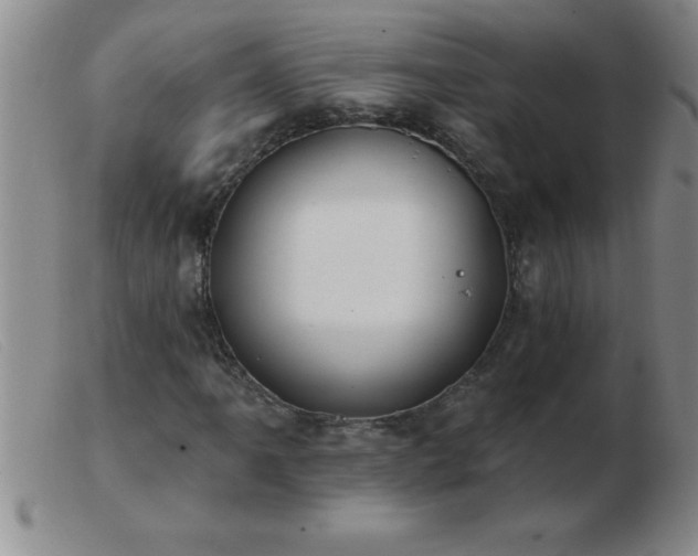 X0000103491061200809191917