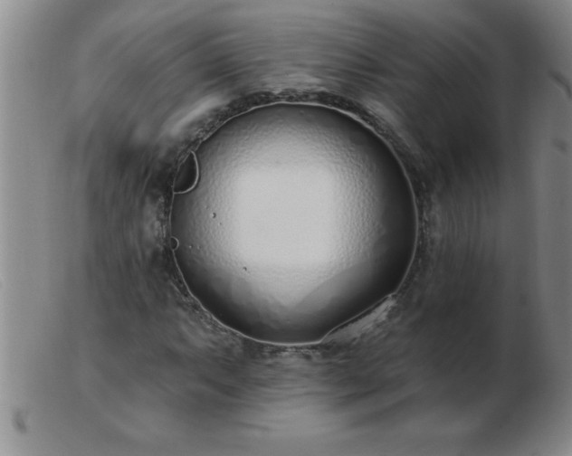 X0000103491063200809191917