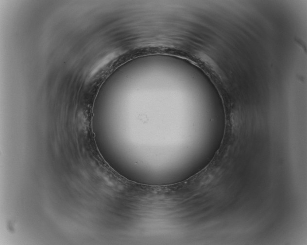 X0000103491064200809191917