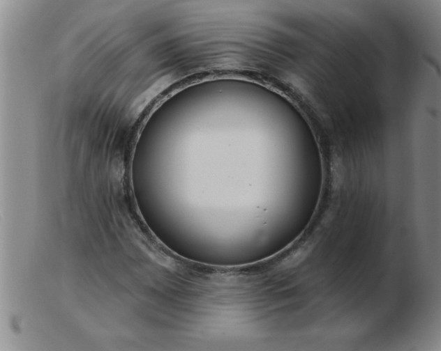 X0000103491065200809191917