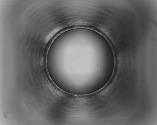 X0000103491066200809191917