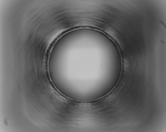 X0000103491068200809191917