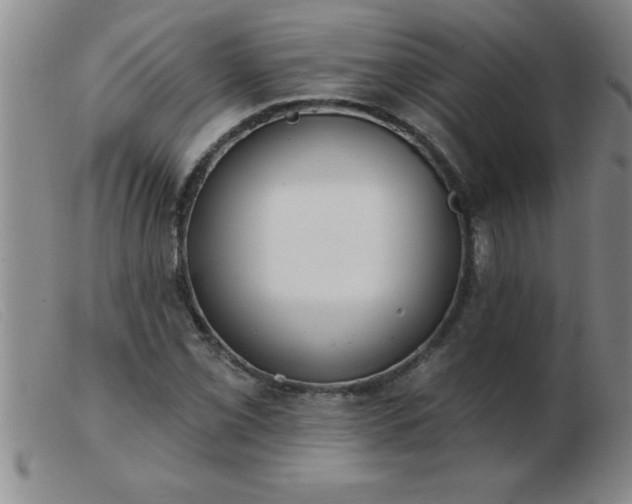 X0000103491069200809191917