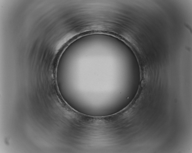 X0000103491070200809191917