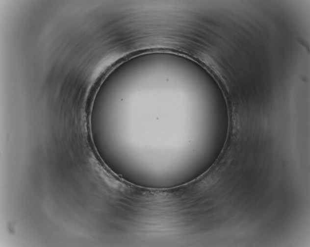 X0000103491072200809191917