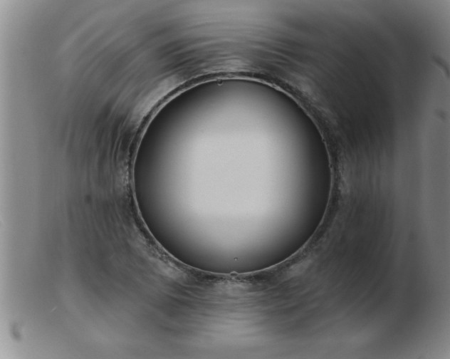 X0000103491073200809191917