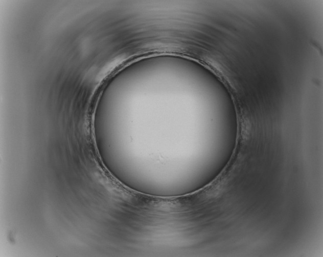 X0000103491074200809191917