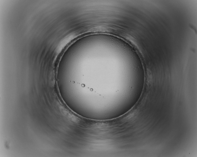 X0000103491075200809191917