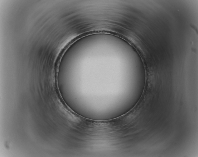 X0000103491076200809191917