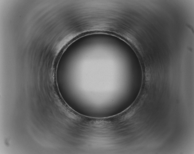 X0000103491077200809191917