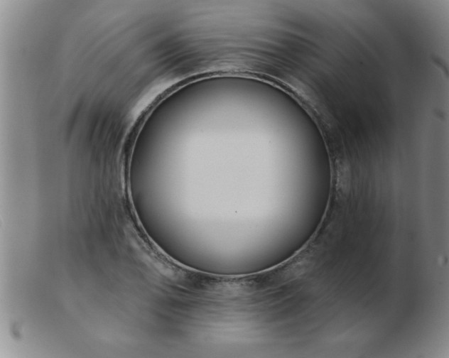 X0000103491078200809191917