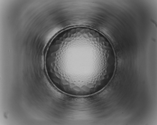 X0000103491079200809191917