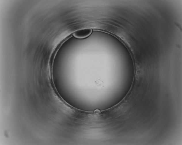 X0000103491080200809191917