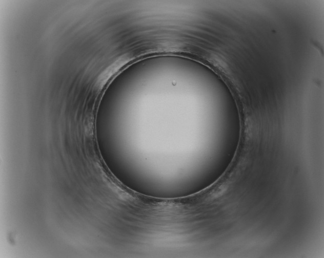 X0000103491081200809191917