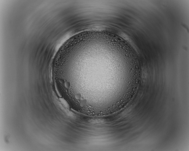 X0000103491083200809191916