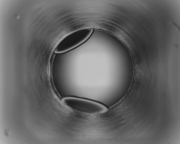 X0000103491084200809191916