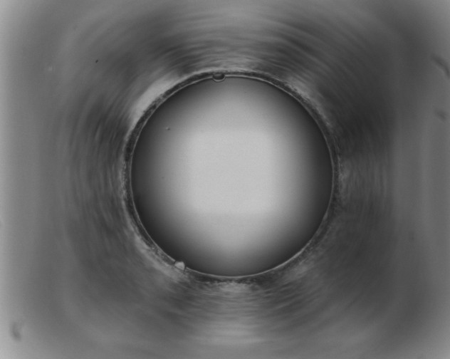 X0000103491085200809191916