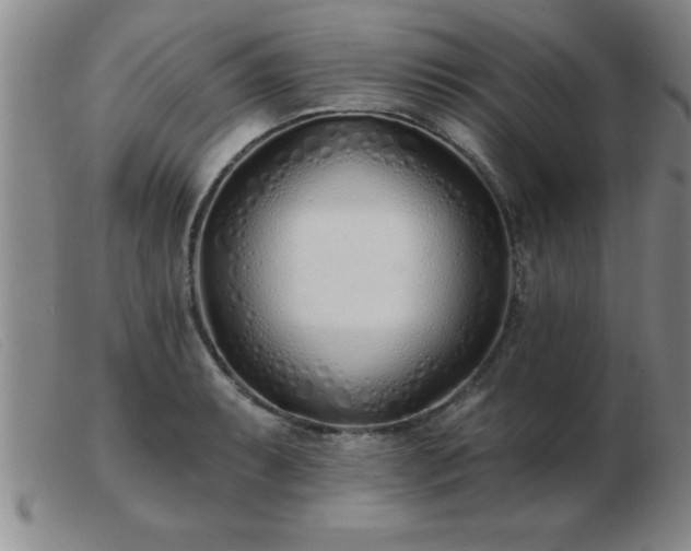 X0000103491087200809191916