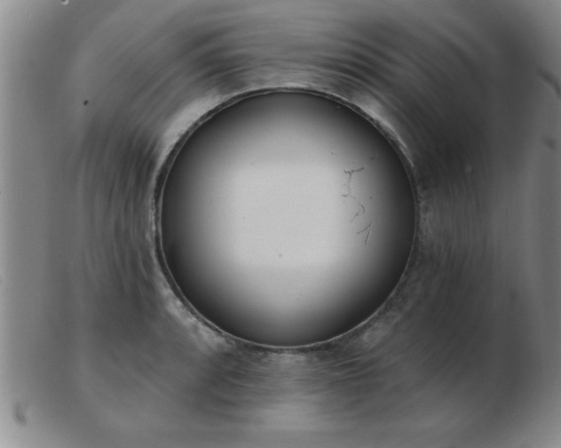 X0000103491088200809191916