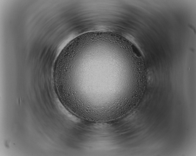 X0000103491091200809191916