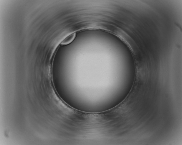 X0000103491092200809191916